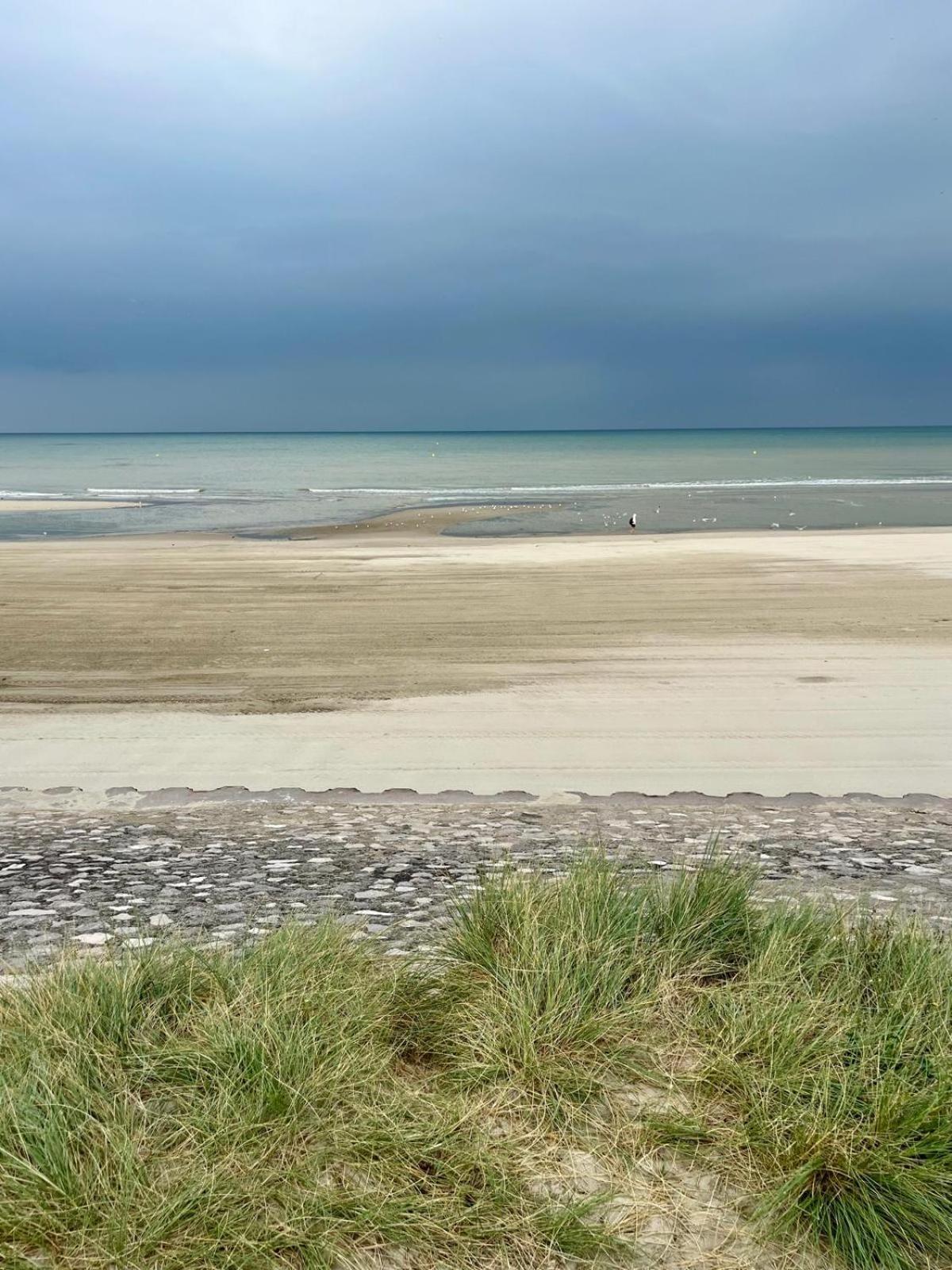 L Oree De La Pinede Hardelot Plage A 800 Metres De La Mer Sous Les Pins Buitenkant foto