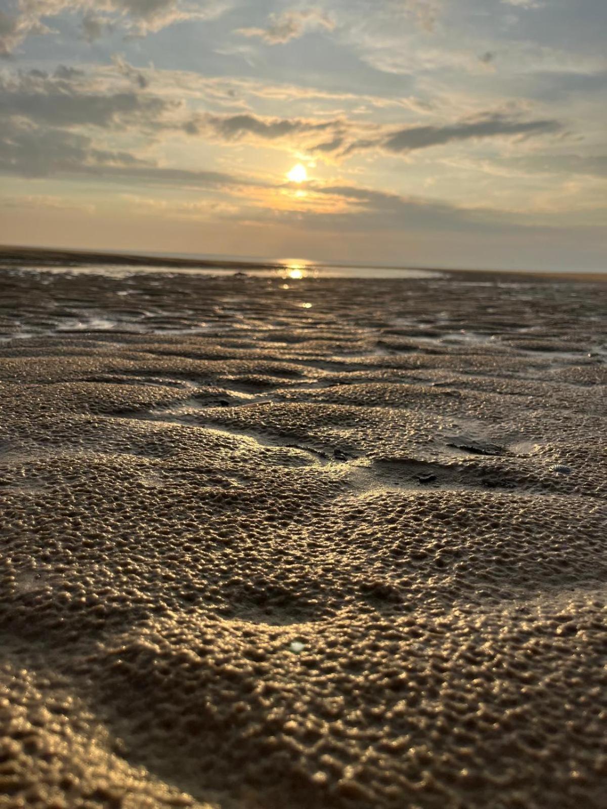 L Oree De La Pinede Hardelot Plage A 800 Metres De La Mer Sous Les Pins Buitenkant foto